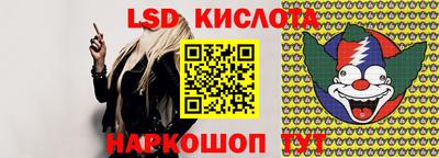 крисы Бийск