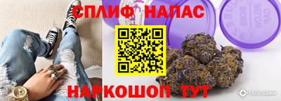 сатива Берёзовский