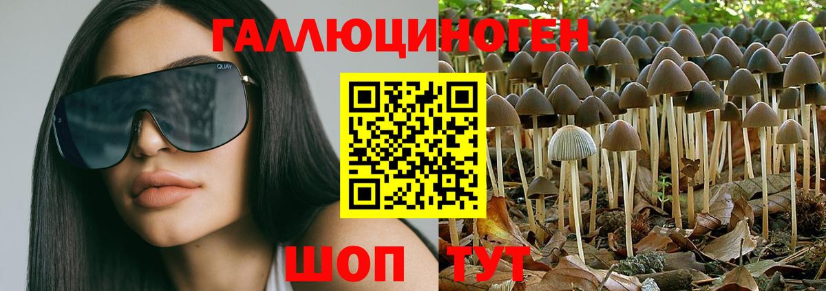 Ишимбай  Псилоцибиновые грибы GOLDEN TEACHER  Вход с VPN 